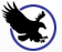 Eagle icon